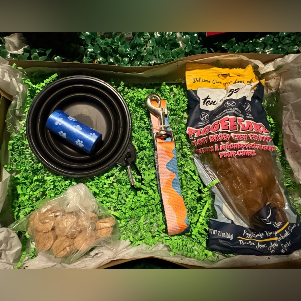 🐾The Doggone Mystery Box 🐾